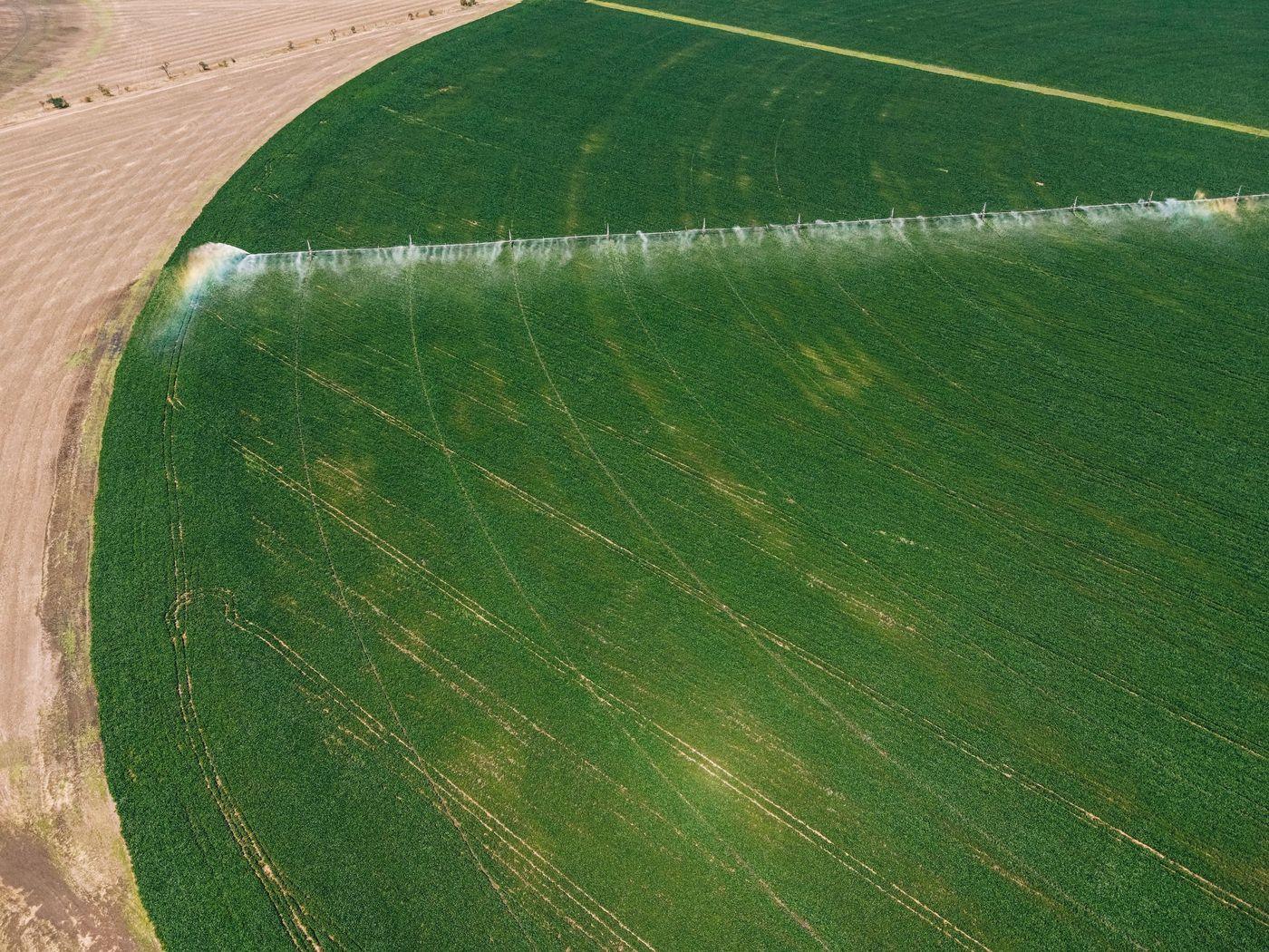 A centre-pivot boom watering a circular field, seen from the air